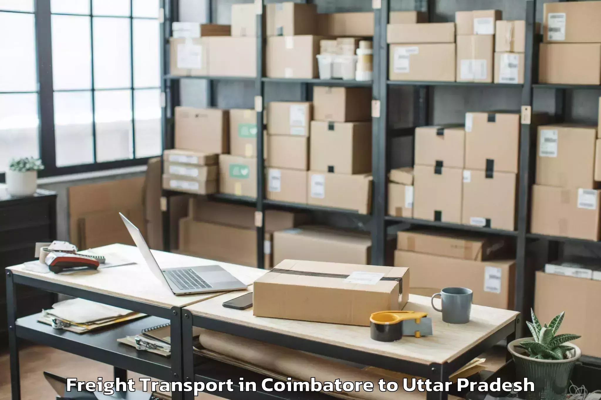 Comprehensive Coimbatore to Invertis University Bareilly Freight Transport